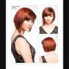 Pack Passion International Hair Magazine Vol.123 + Passion Men's Vol.81