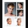 Pack Passion International Hair Magazine Vol.123 + Passion Men's Vol.81