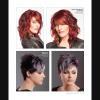 Pack Passion International Hair Magazine Vol.123 + Passion Men's Vol.81