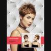 Lot de 4 albums de coiffure "FAMILY Album"