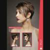 Lot de 4 albums de coiffure "FAMILY Album"