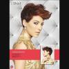 Lot de 4 albums de coiffure "FAMILY Album"