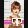 Lot de 4 albums de coiffure "FAMILY Album"