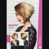 Lot de 4 albums de coiffure "FAMILY Album"