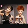 Lot de 4 albums de coiffure "FAMILY Album"