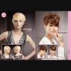 Lot de 4 albums de coiffure "FAMILY Album"