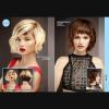 Lot de 4 albums de coiffure "FAMILY Album"