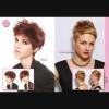Lot de 4 albums de coiffure "FAMILY Album"