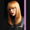 Lot de 4 albums de coiffure "FAMILY Album"