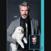 Lot de 4 albums de coiffure "FAMILY Album"
