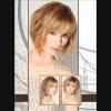 Lot de 4 albums de coiffure "FAMILY Album"